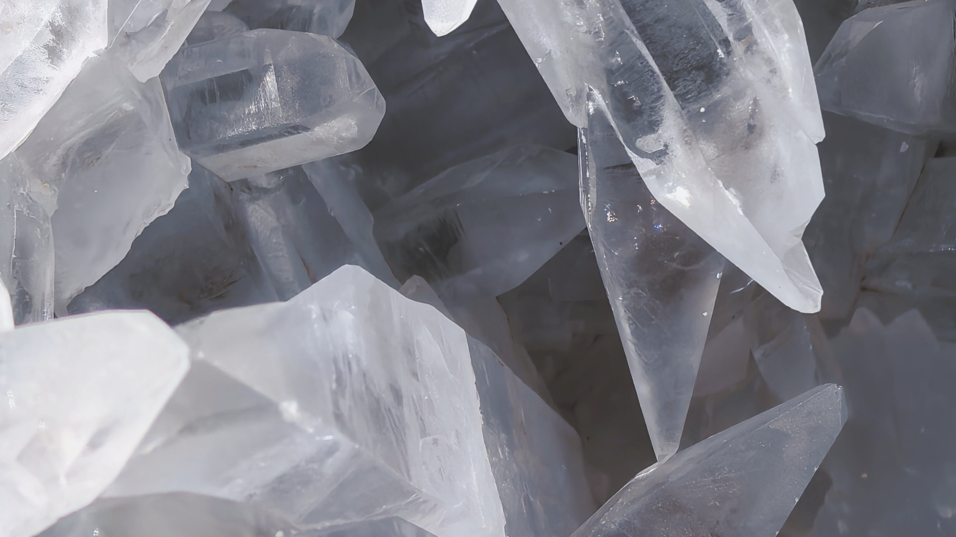 The Earth Never Stops Pulsing, We’ve Just Forgotten How To Feel Its Heartbeat.