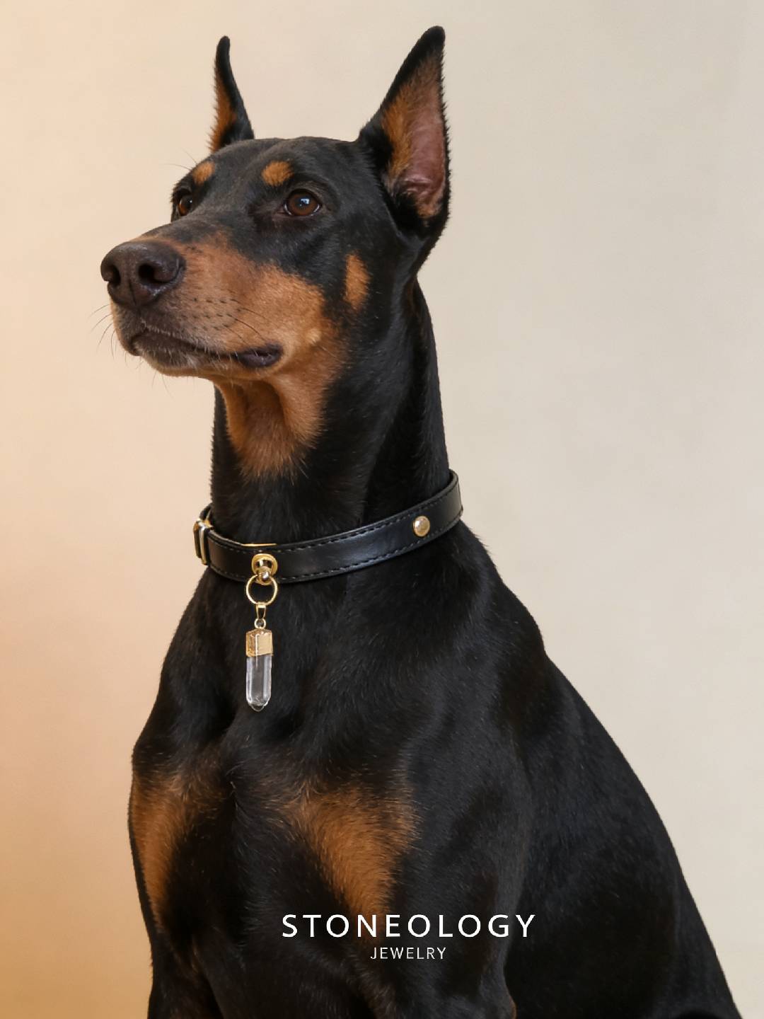 Crystal Pet Collar - Black Collar/Clear Quartz