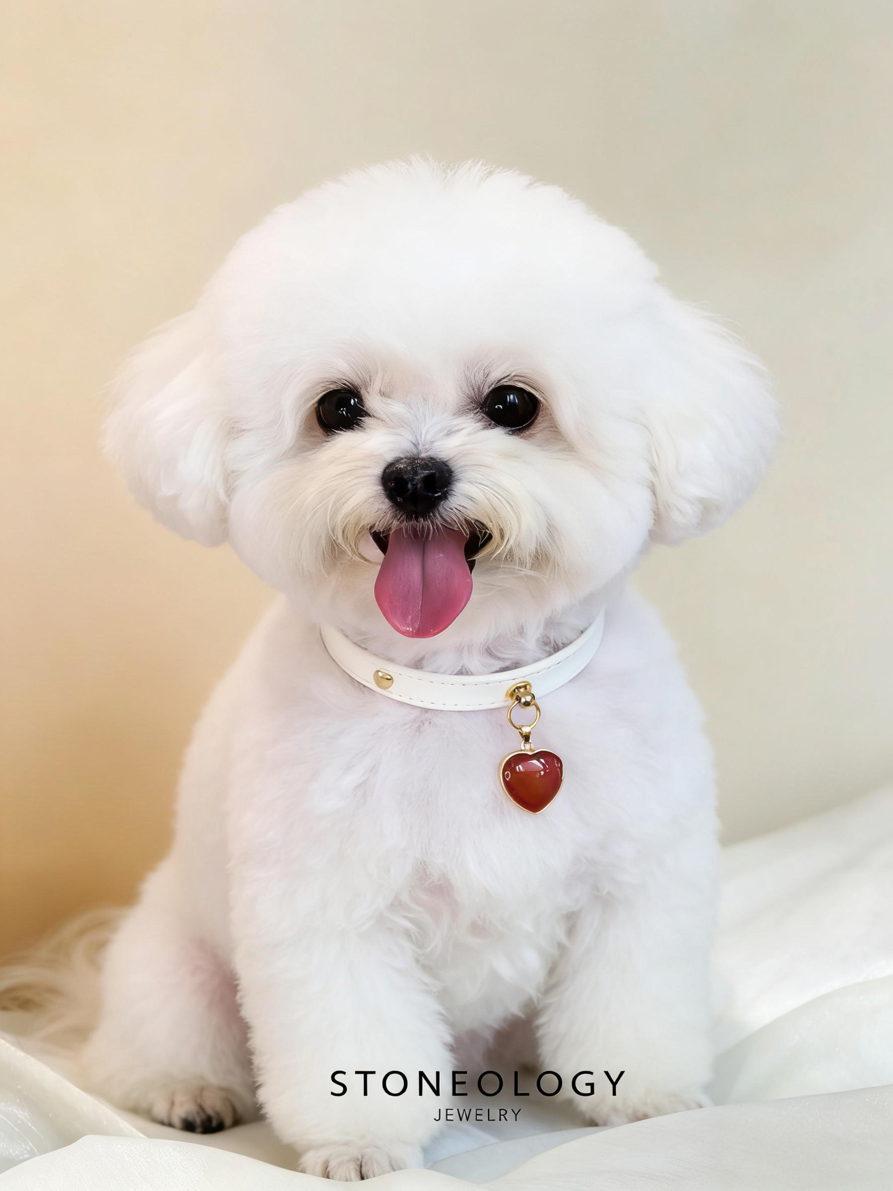 Crystal Pet Collar - Agate