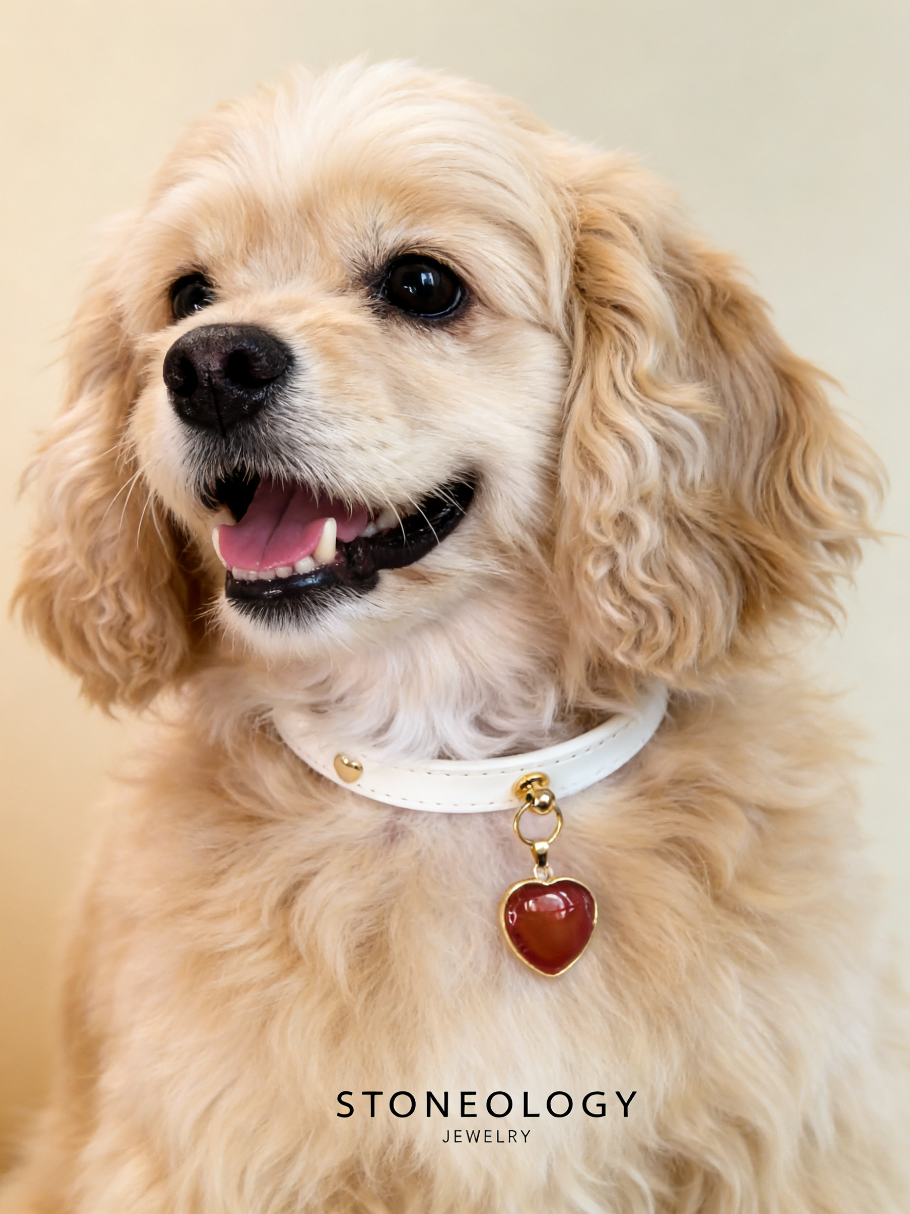 Crystal Pet Collar - Agate