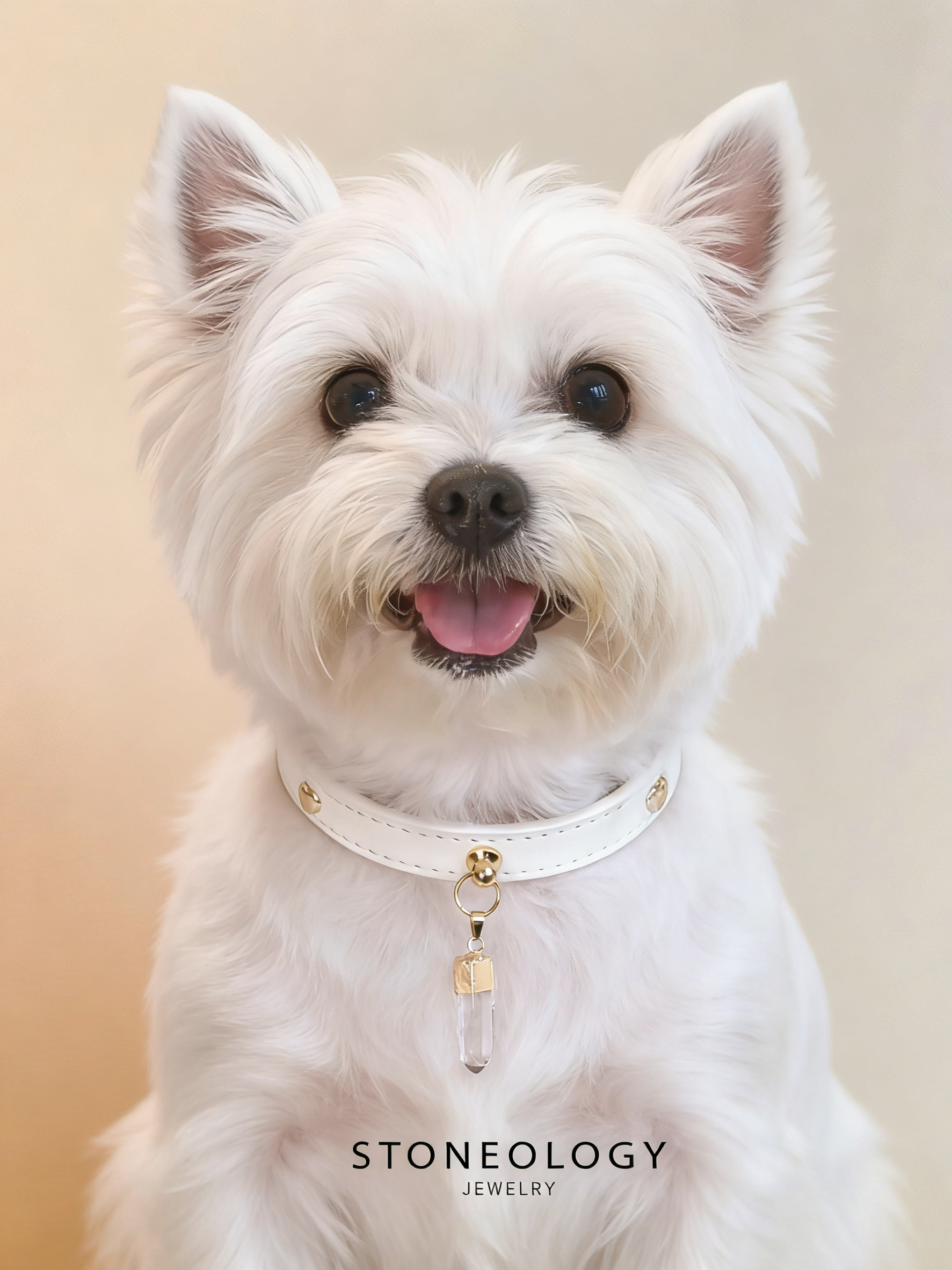 Crystal Pet Collar - Clear Quartz