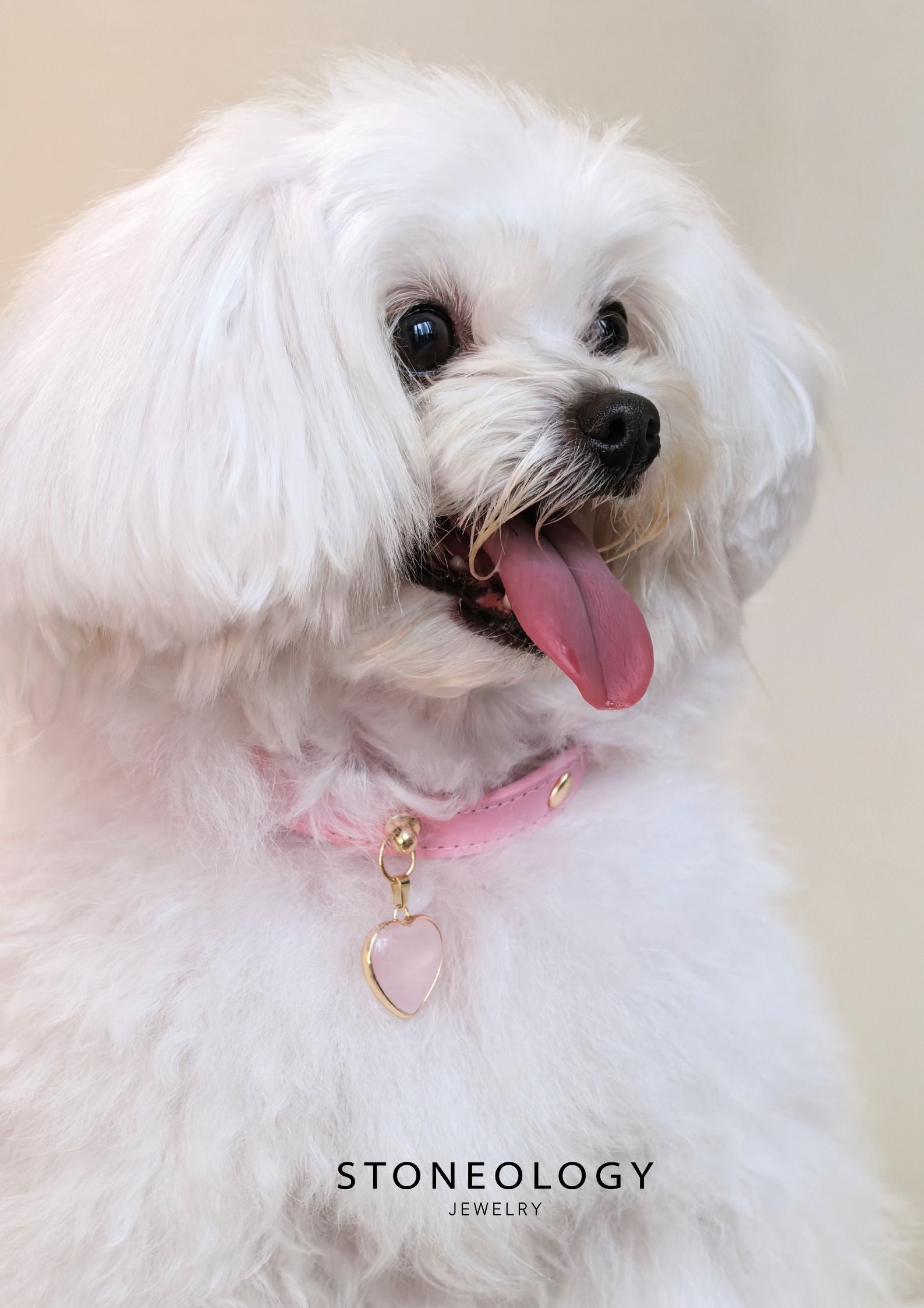 Crystal Pet Collar - Rose Quartz