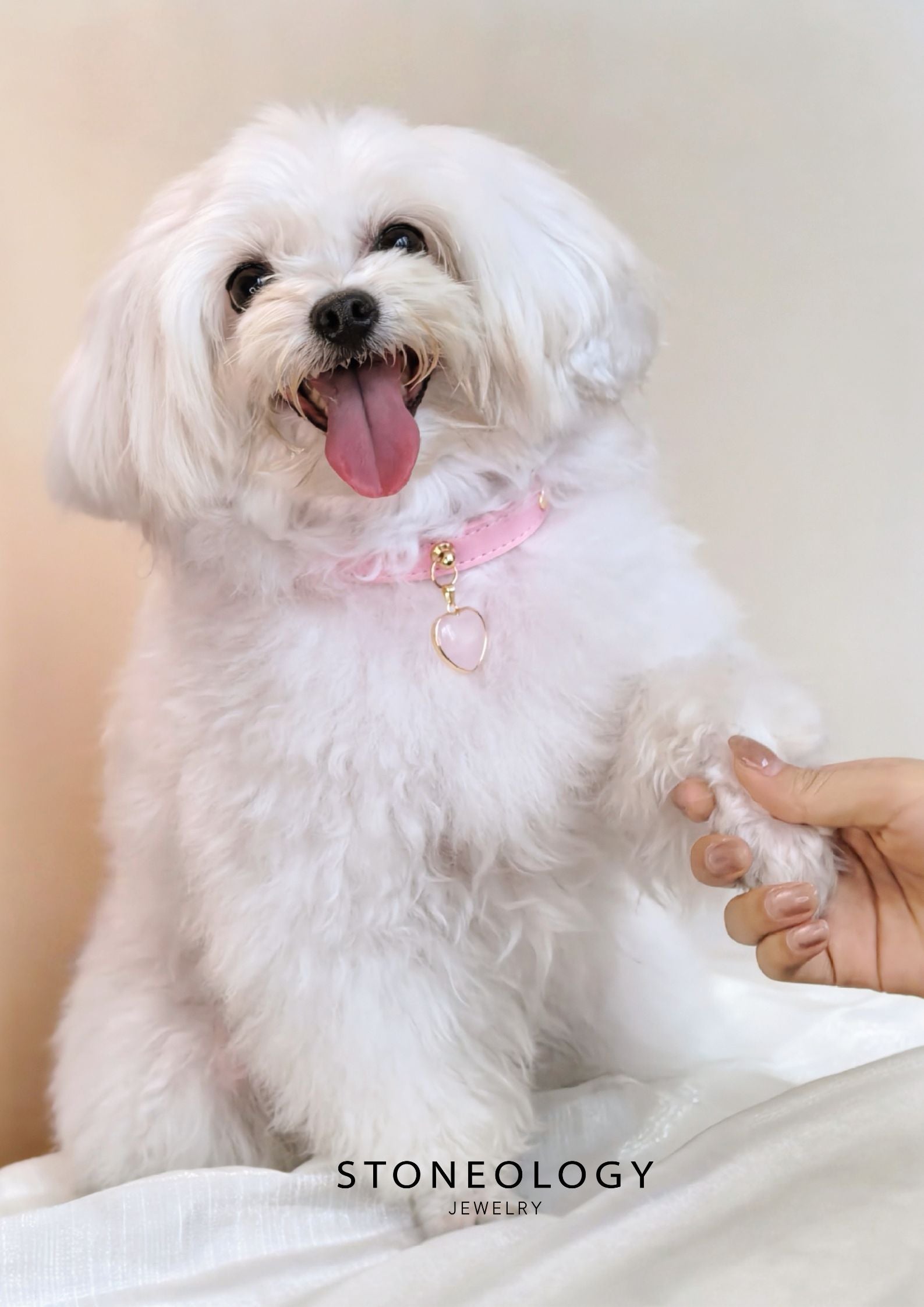 Crystal Pet Collar - Rose Quartz