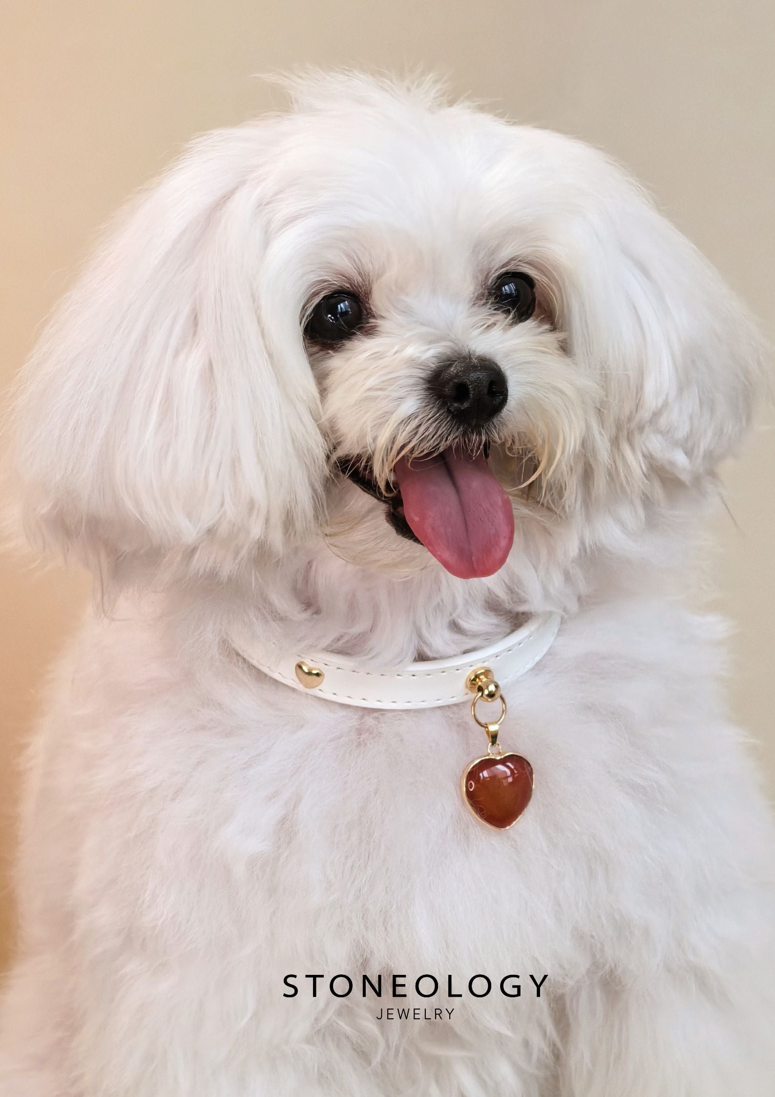 Crystal Pet Collar - Agate