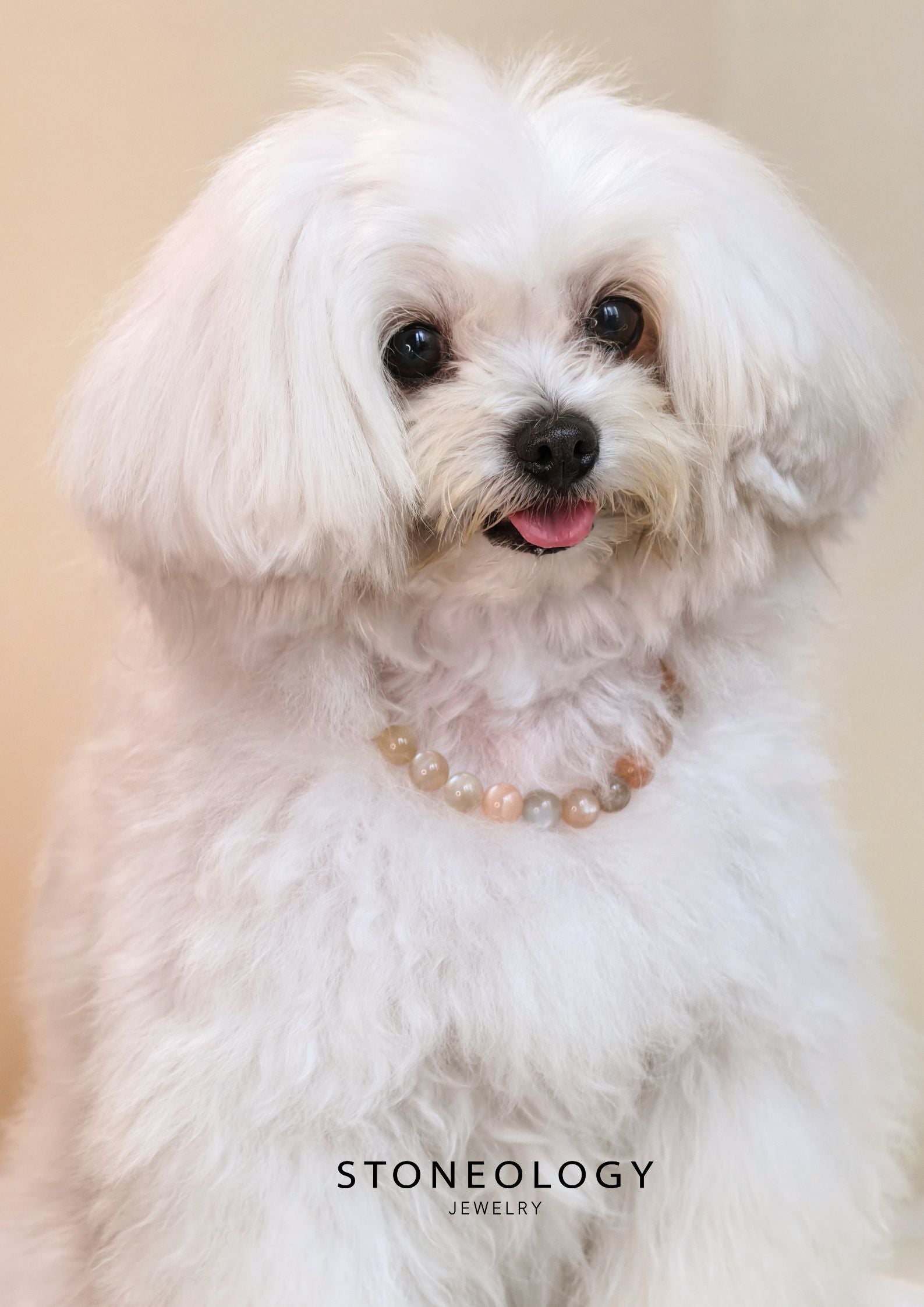 Crystal Pet Collar - Moonstone